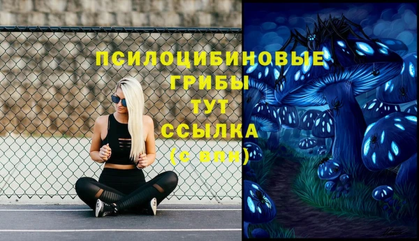 прущие крисы Аркадак