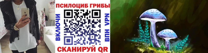 Псилоцибиновые грибы прущие грибы  Аркадак 